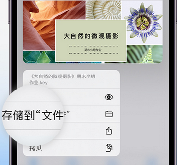 太仆寺apple维修中心分享iPhone文件应用中存储和找到下载文件