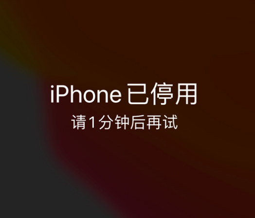 太仆寺苹果手机维修分享:iPhone 显示“不可用”或“已停用”怎么办？还能保留数据吗？ 