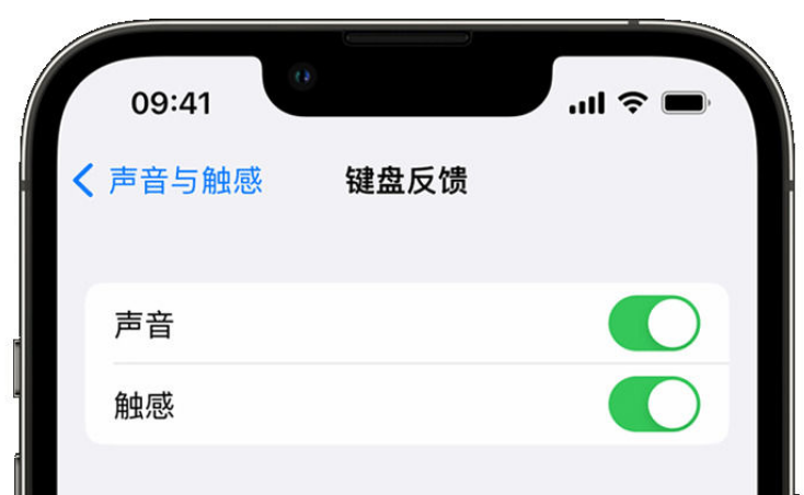 太仆寺苹果手机维修分享iPhone 14触感键盘使用方法 