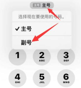 太仆寺苹果14维修店分享iPhone 14 Pro Max使用副卡打电话的方法 