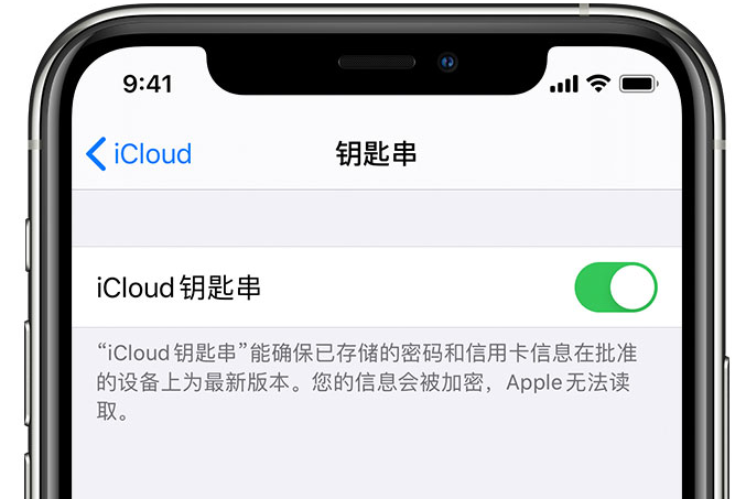 太仆寺苹果手机维修分享在 iPhone 上开启 iCloud 钥匙串之后会储存哪些信息 
