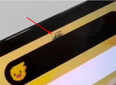 太仆寺苹果14维修分享iPhone 14 Pro Max灵动岛怎么养宠物 