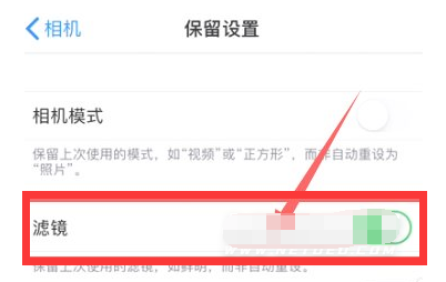 太仆寺苹果13维修分享iPhone13拍照有绿点是怎么回事 