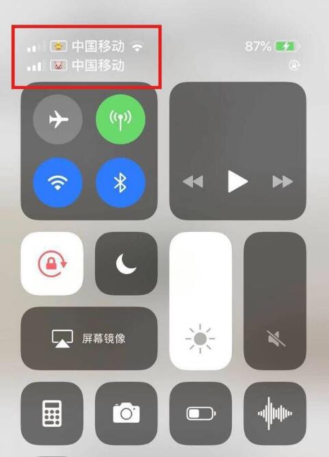 太仆寺苹果手机维修分享为 iPhone 12 双卡设置标签 